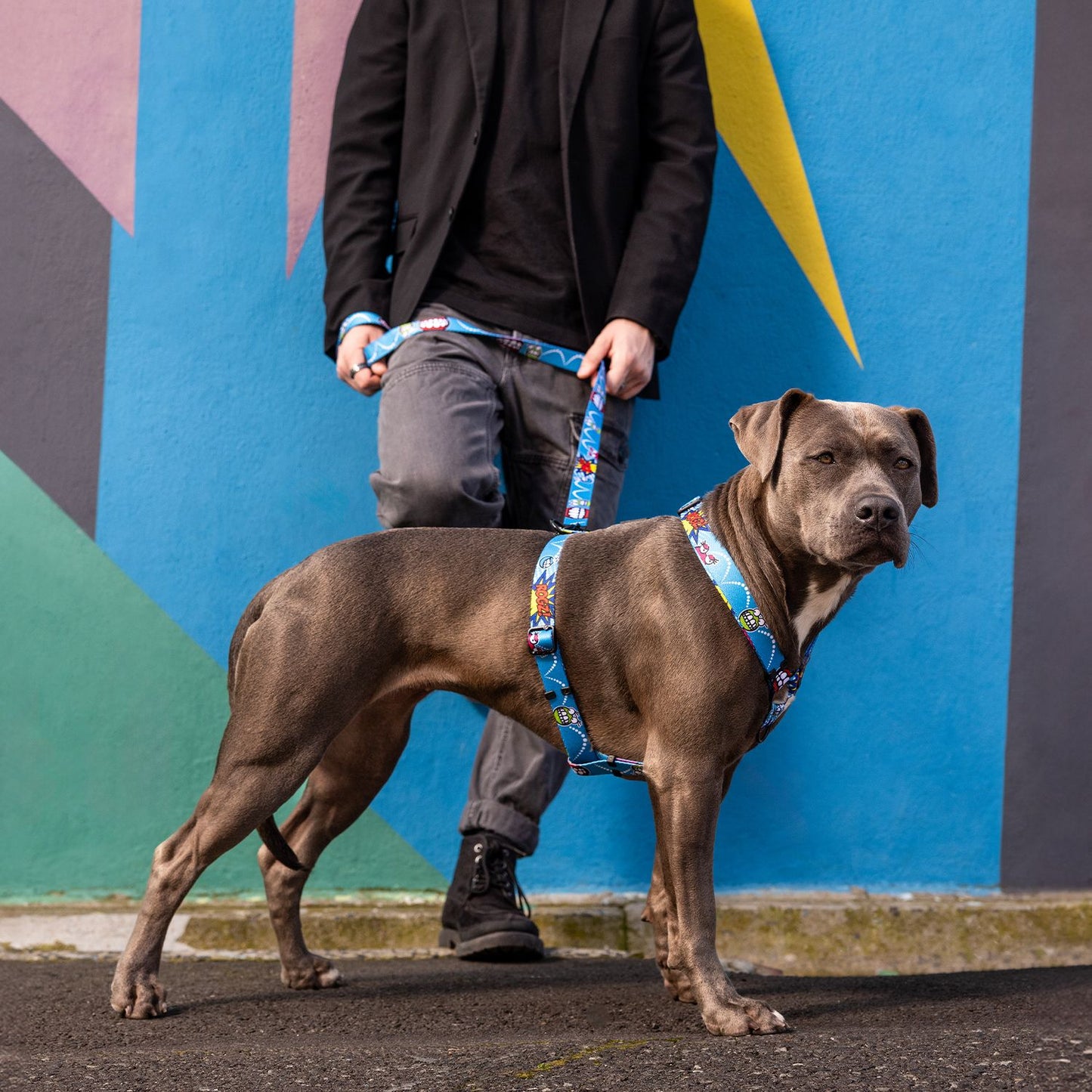Arnés Para Perro, Modelo Fusion De Rogz, Estampado Comic Azul. Talla L (21-40kg)_3