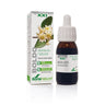 Extrato Natural de Boldo Soria, 50 ml
