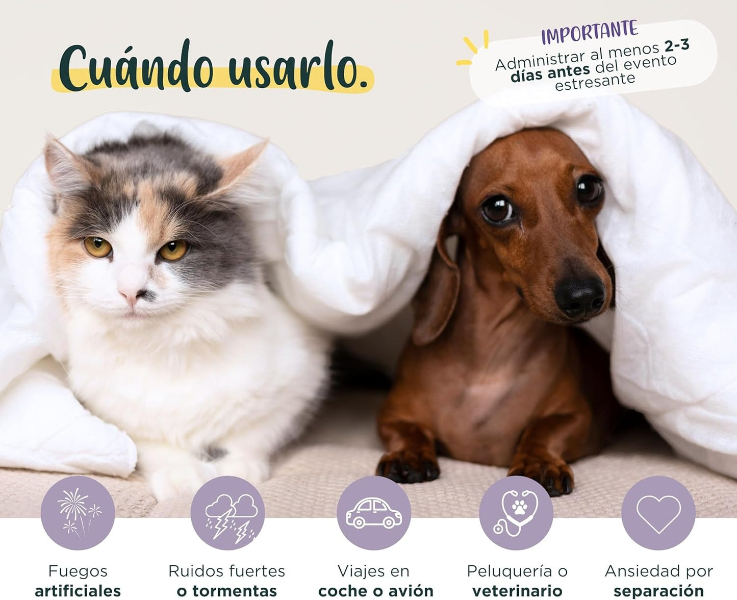 Wolf Belly Stay Calm Calmante Sabor a Frango para Cães e Gatos 30 comprimidos