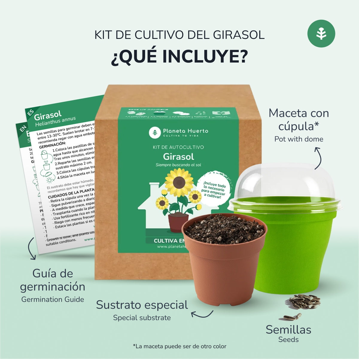 Kit de autocultivo girassol Planeta Huerto
