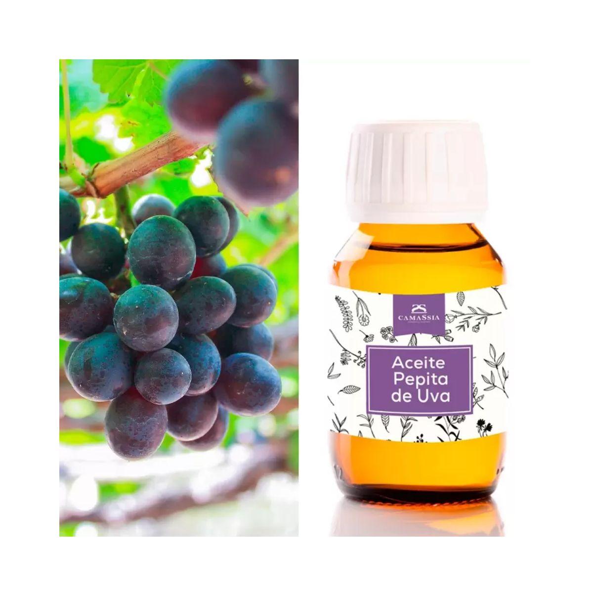 Óleo de grainha de uva, 100ml. Camassia