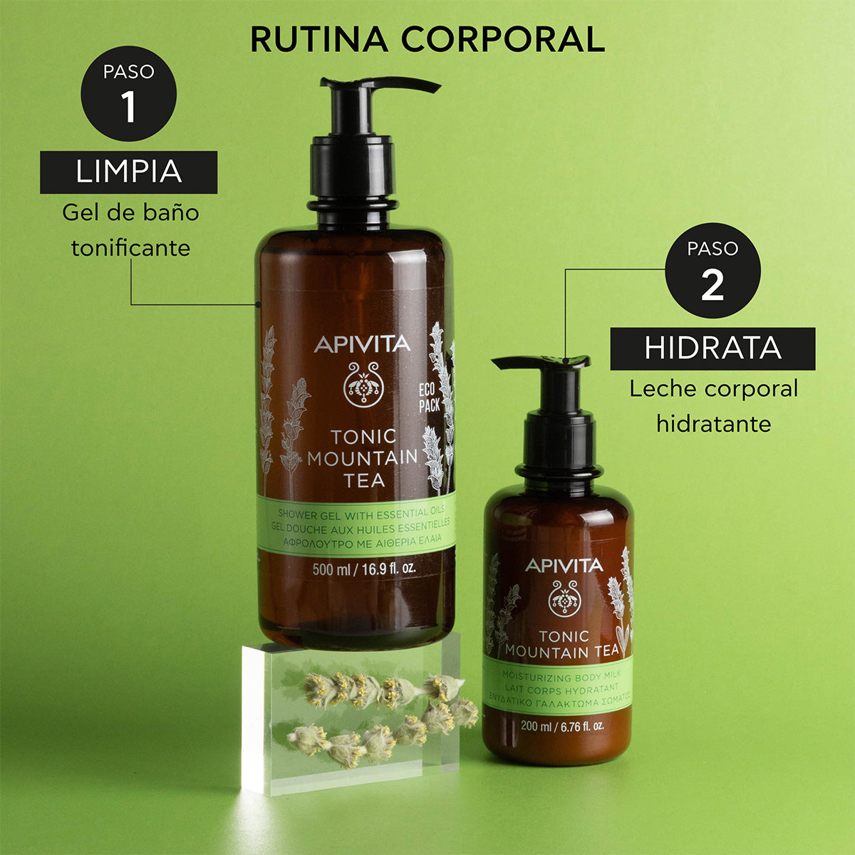 PROMOÇÃO Gel Chá de Montanha Apivita 500 ml