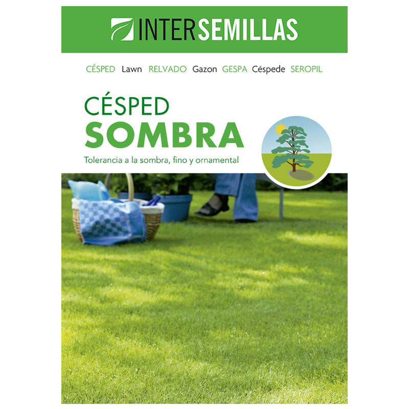 Semillas De Cesped Sombra Caja De 1 Kg._0