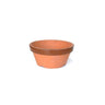 Vaso de treino em terracota Ø 15,5