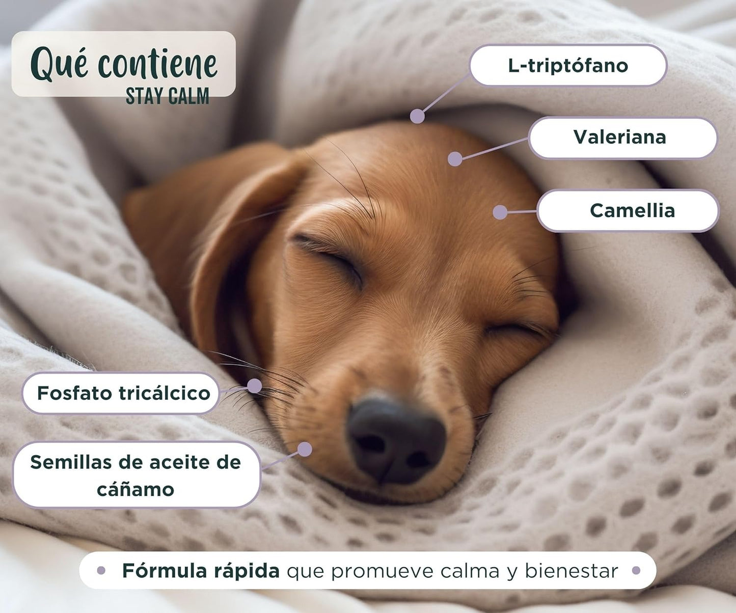 Wolf Belly Stay Calm Calmante Sabor a Frango para Cães e Gatos 30 comprimidos