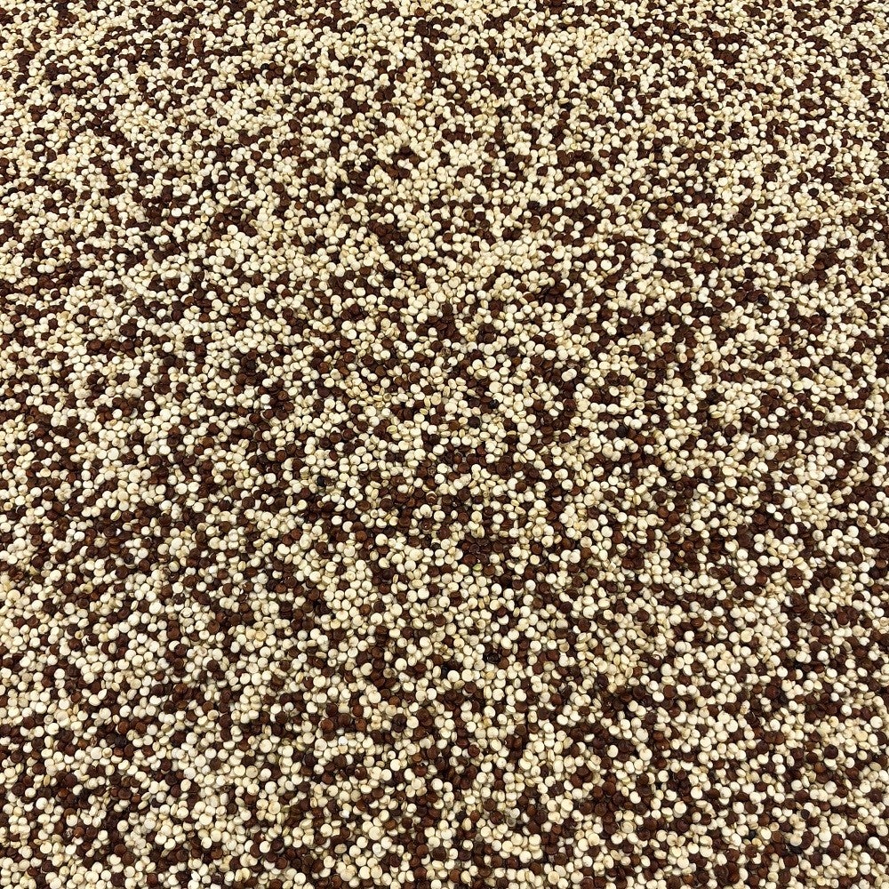Quinoa Dúo Blanca Roja Orgánica Granel 25 Kg_2