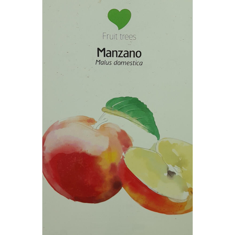 Manzano Royal Gala M22 140-150cm_1