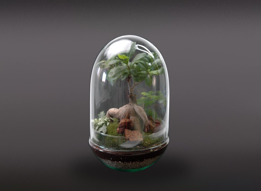 Nanogarden Terrario Jungle In Dome 30x17_1
