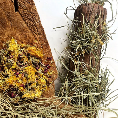 Grande tronco de lanche cheio de feno Ribero para coelhos e roedores