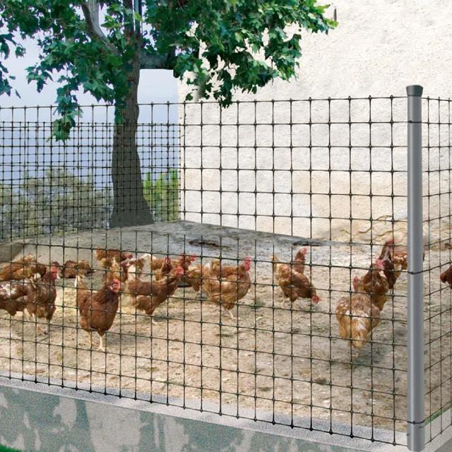 Rede para galinheiro Avinet Nortene 24 x 27 mm