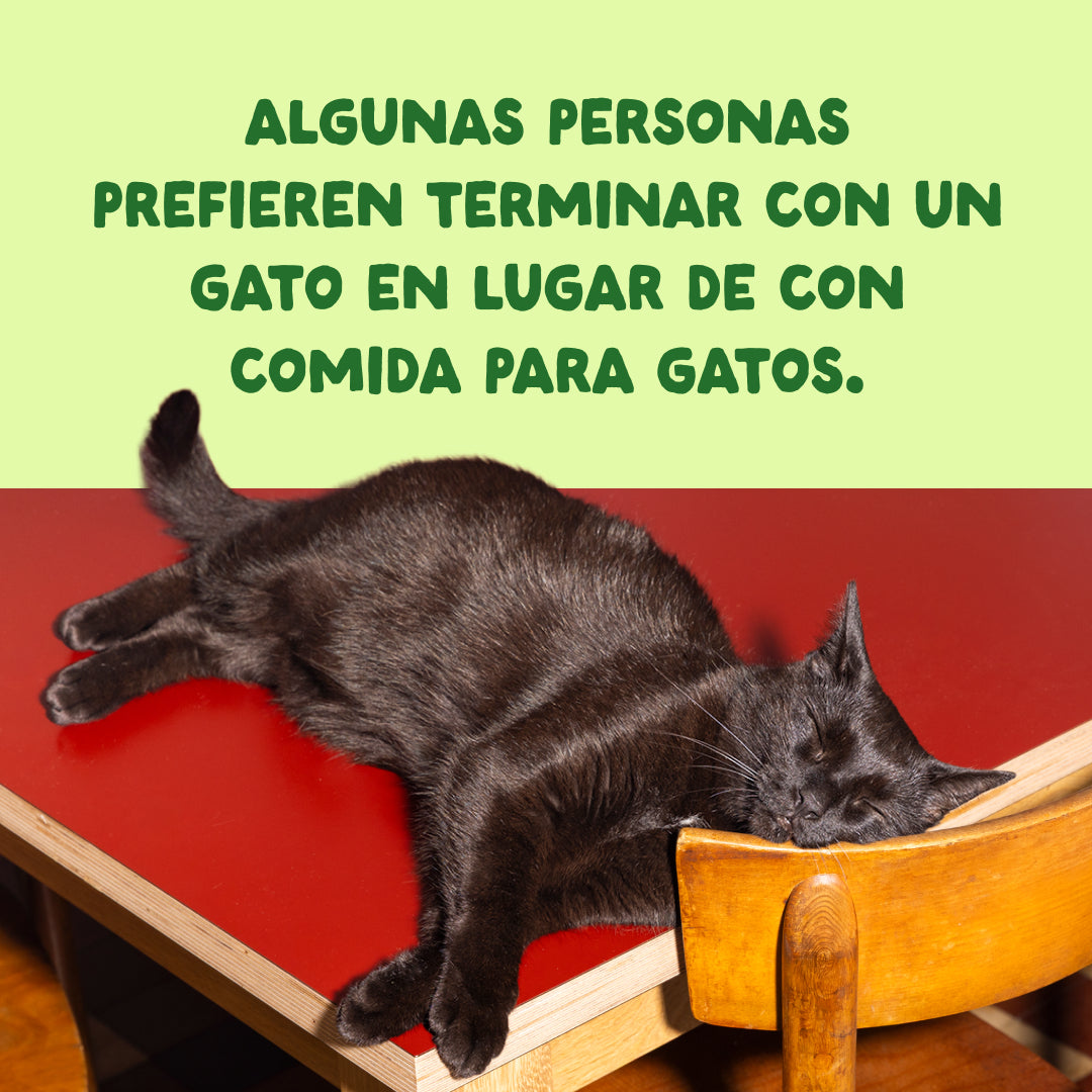 Filetes de caballa para gatos Edgard & Cooper 70 g