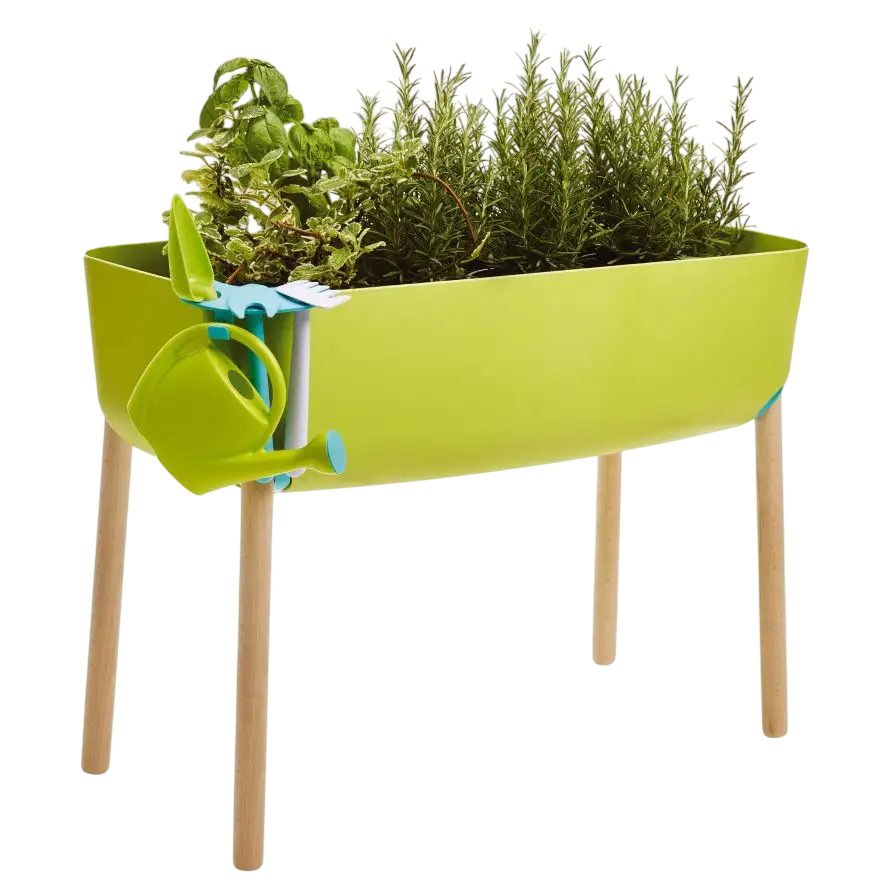 Horta urbana infantil Verdemax