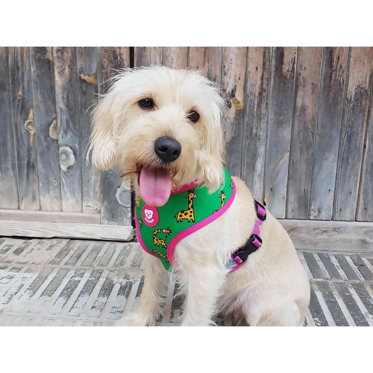 Peitoral reversível para cães SAVANA Dukier