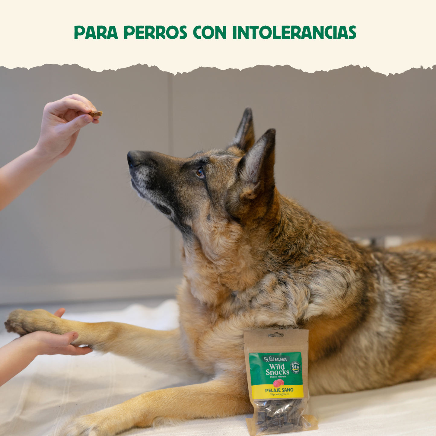 Wild Snacks Healthy Coat Hipoalergénico Wild Balance