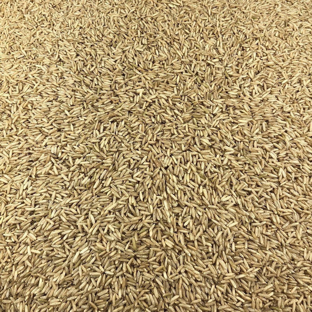 Arroz Basmati Integral Ecológico A Granel 10 Kg_2