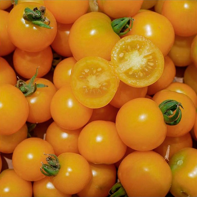 Semillas Tomate Galina Ecológicas