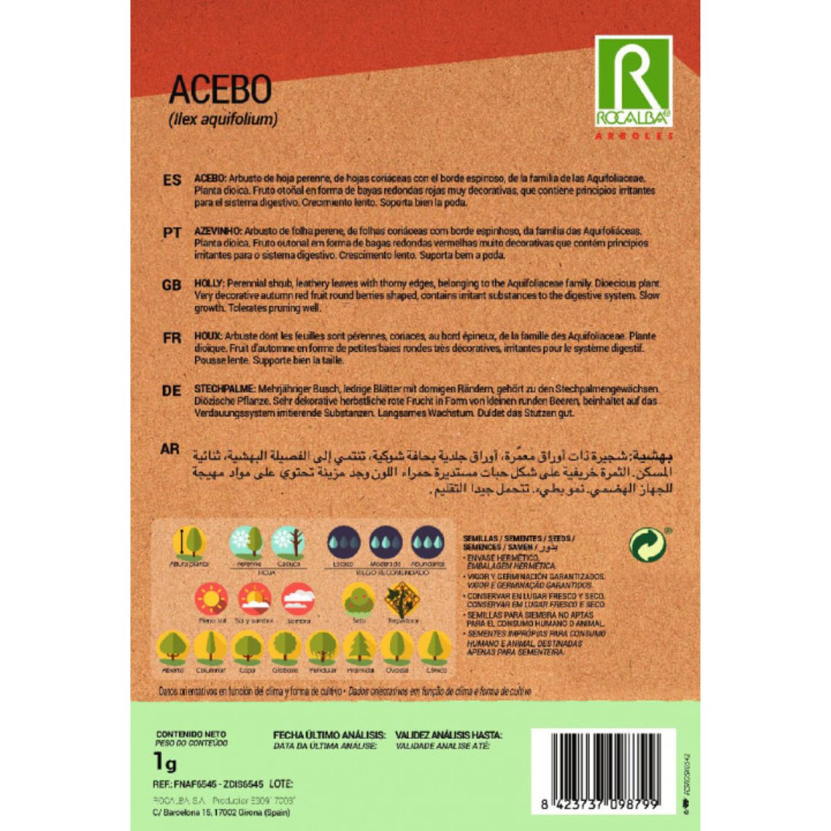 Sementes de azevinho Ilex aquifolium