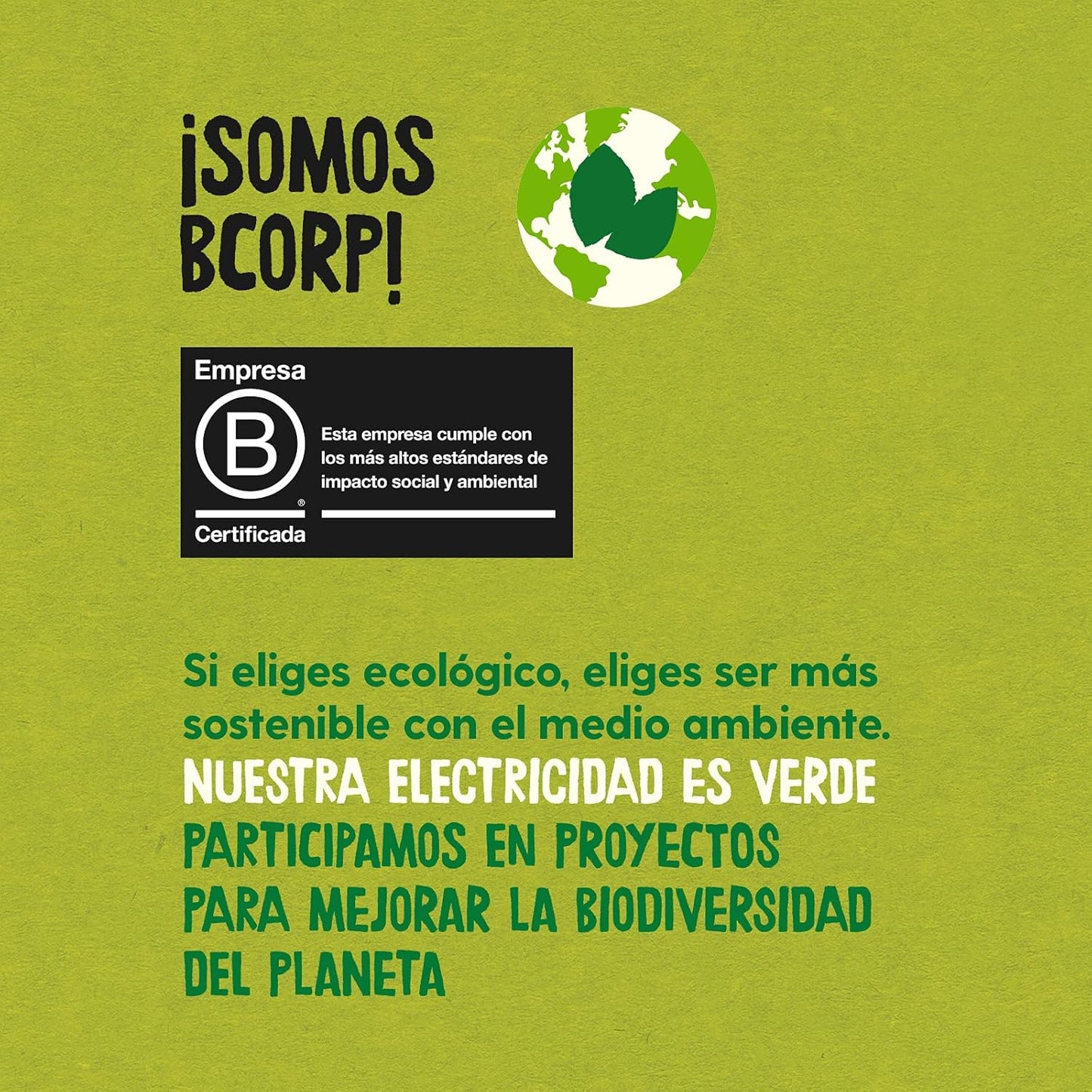 Flocos de Aveia Integral Macios Sem Glúten, Biológicos, 500g Ecocesta