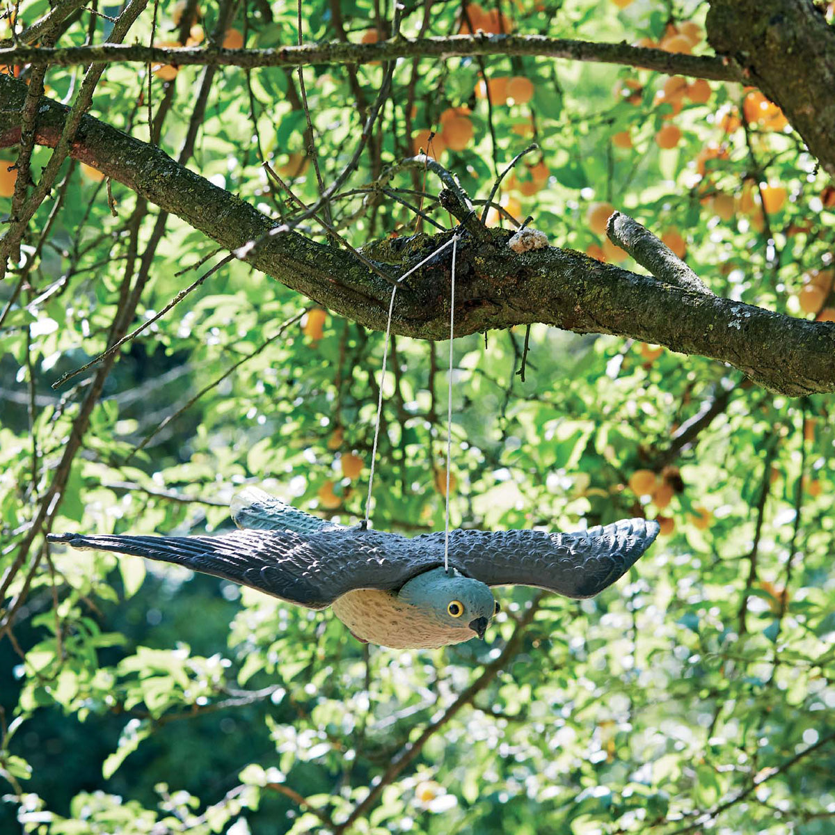 Greenmax Espantalho Falcão