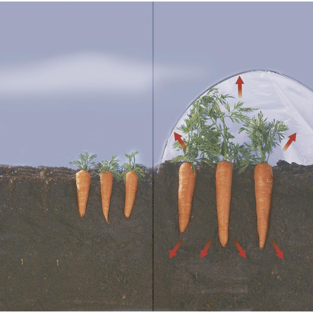 Kit de túnel de cultivo Climafilm 1,2 x 3,5 m Nortene