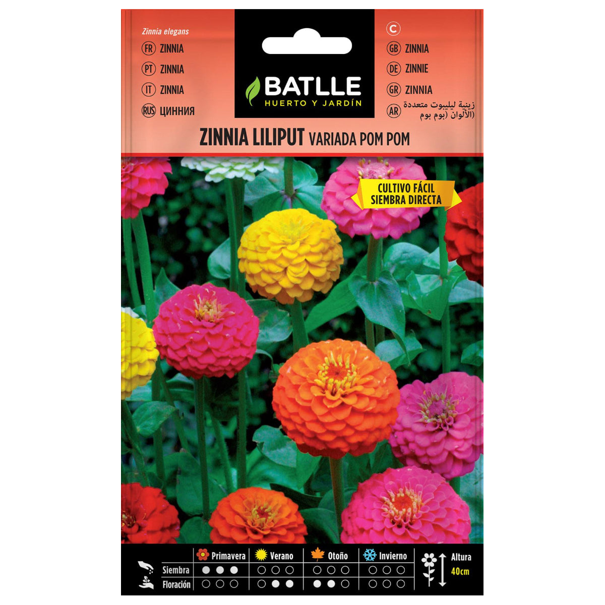Sementes Variadas de Zinnia Liliput Pom Pom Batlle