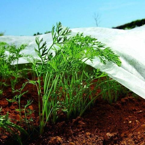 Tecido de proteção contra congelação Biotop 1,5 x 5 m