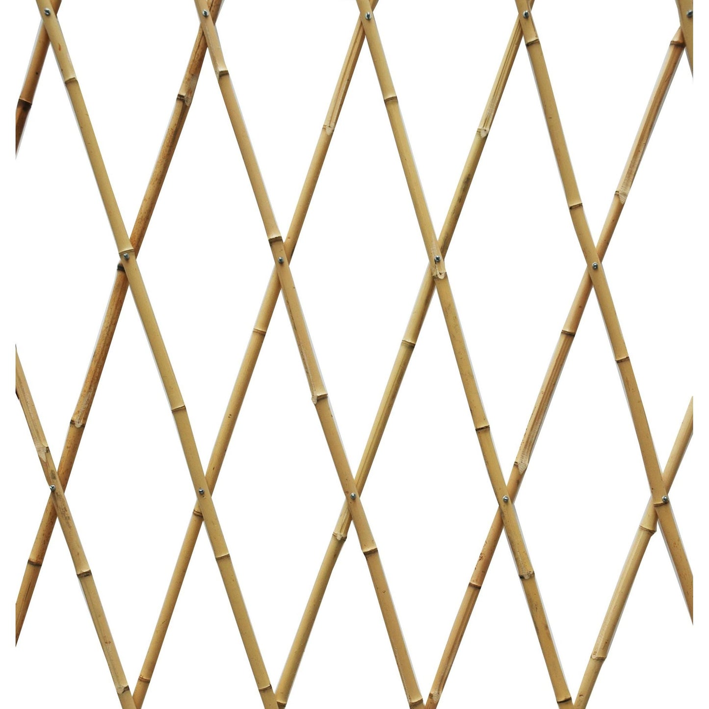 Treliça extensível de bambu natural Faura 1,2 x 2,4 m