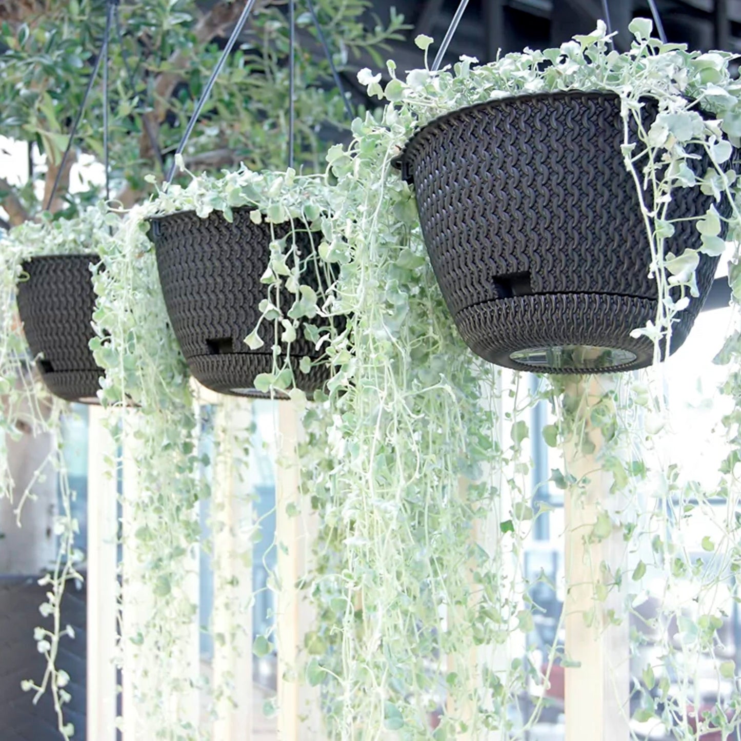 Macetero Colgante Splofy Round W 3l., Dimensiones (mm) 230x230x145, Color Mocca