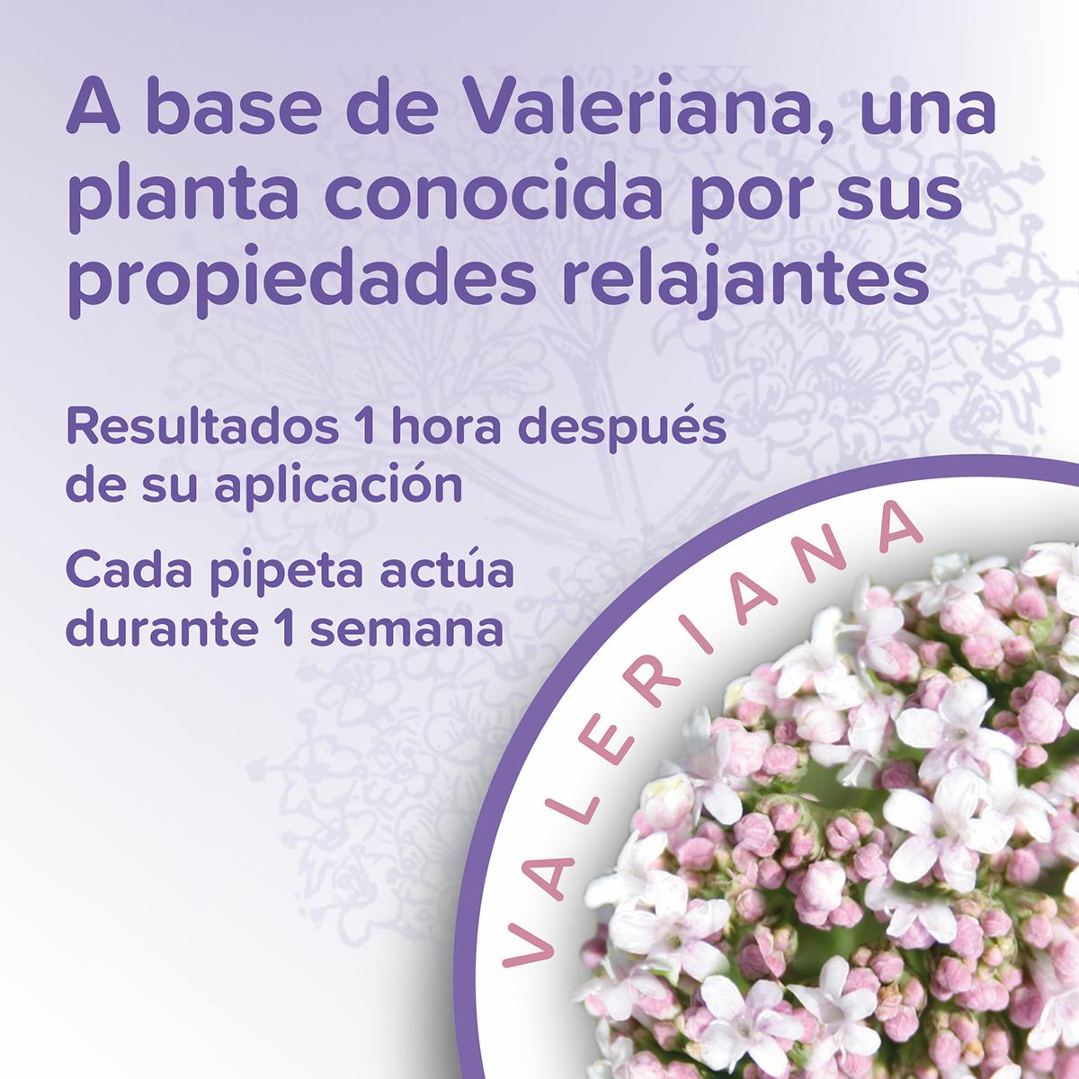 Pipetas calmantes Beaphar Spot On para gatos 3x0,4 ml