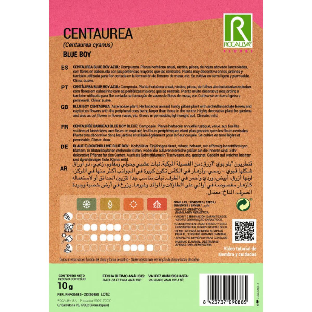 Sementes de Centaurea blue boy, azuis