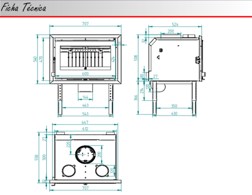 BRICOSOL Insertable de leña panorámico triple combustión y cristal serigrafiado FM Modelo IZ -170 K (interior vermiculita)_4