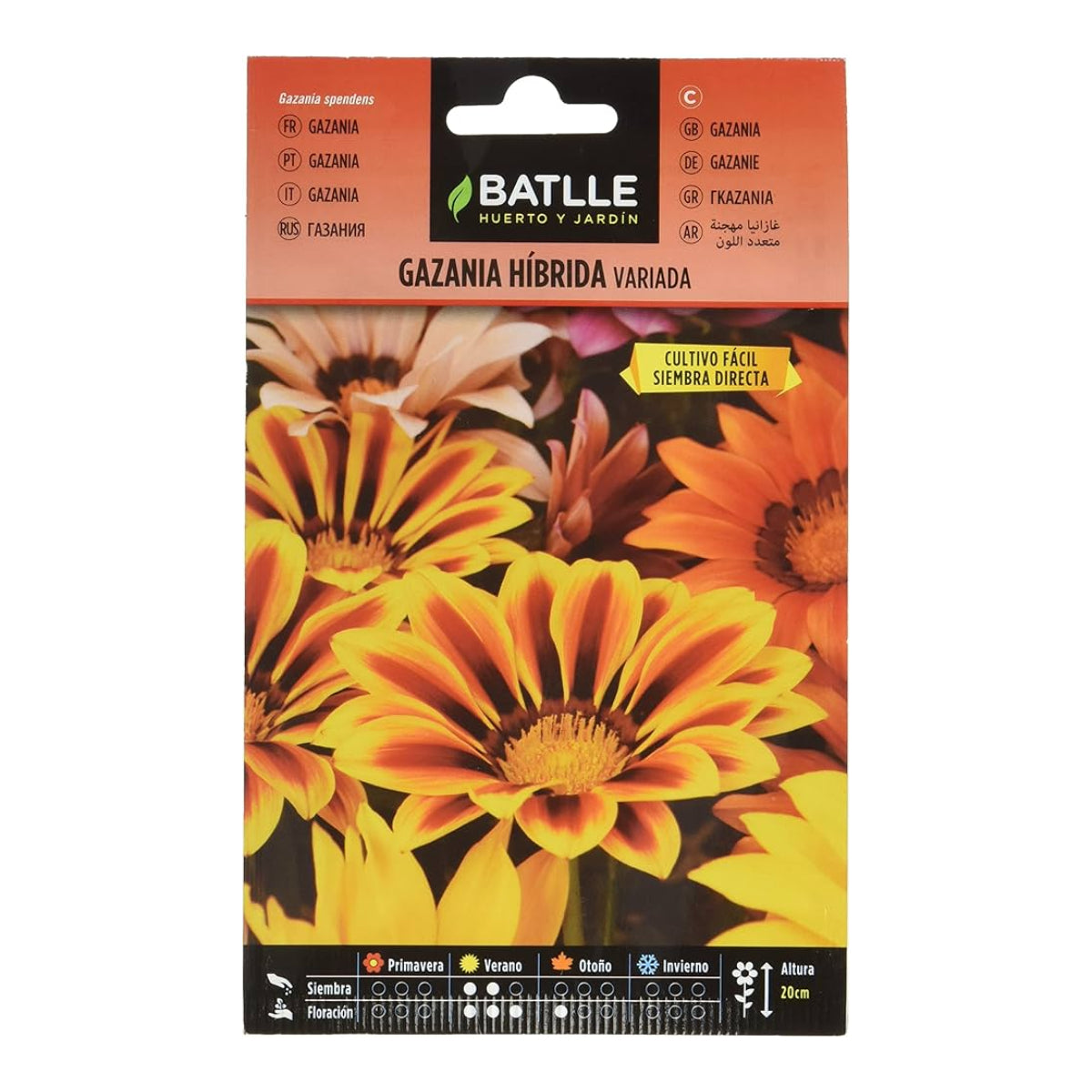 Sementes híbridas de Gazania Batlle
