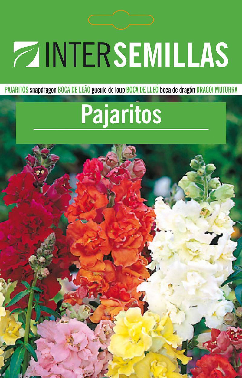 Sobre De Semillas De Pajaritos_0