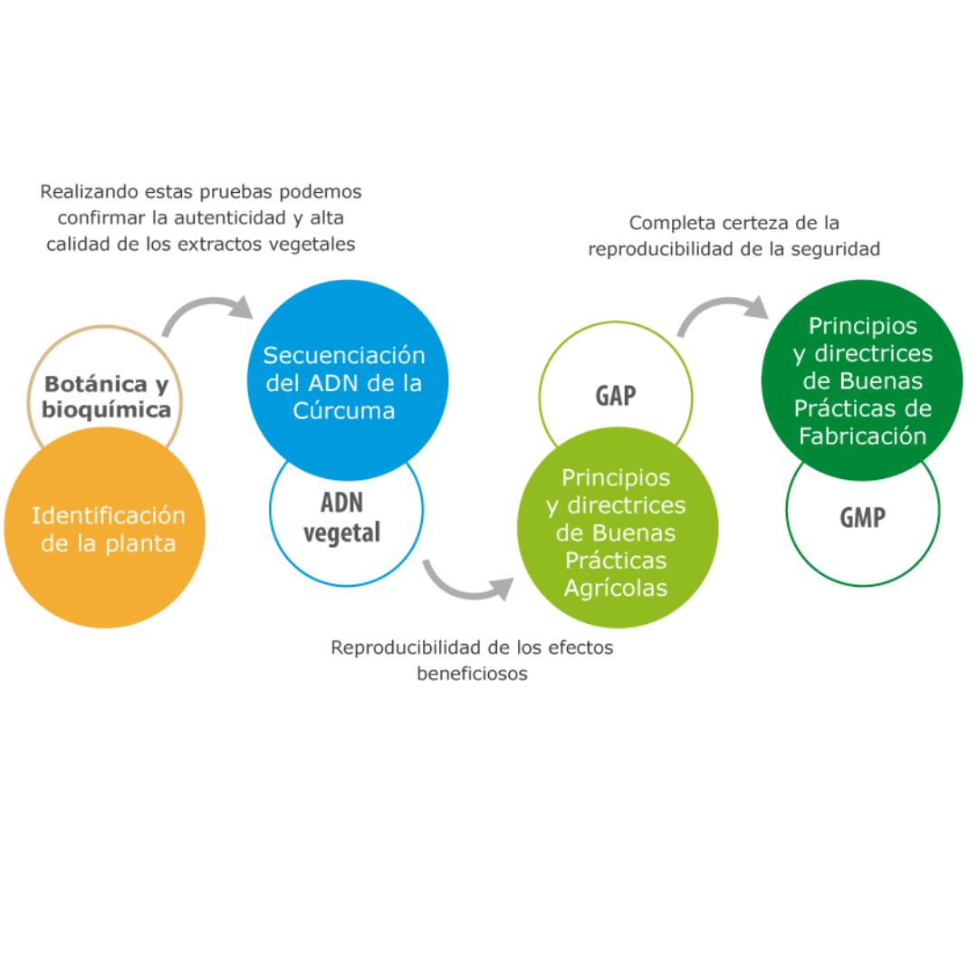 Curcufit 100% Natural 90 cápsulas