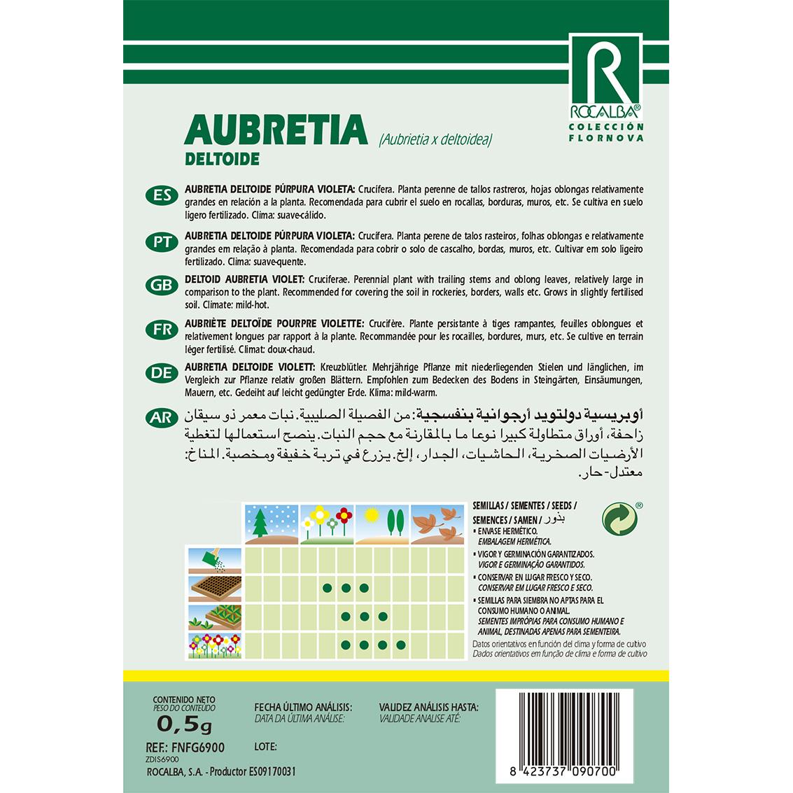 Sementes de Aubretia deltóide, violeta-púrpura