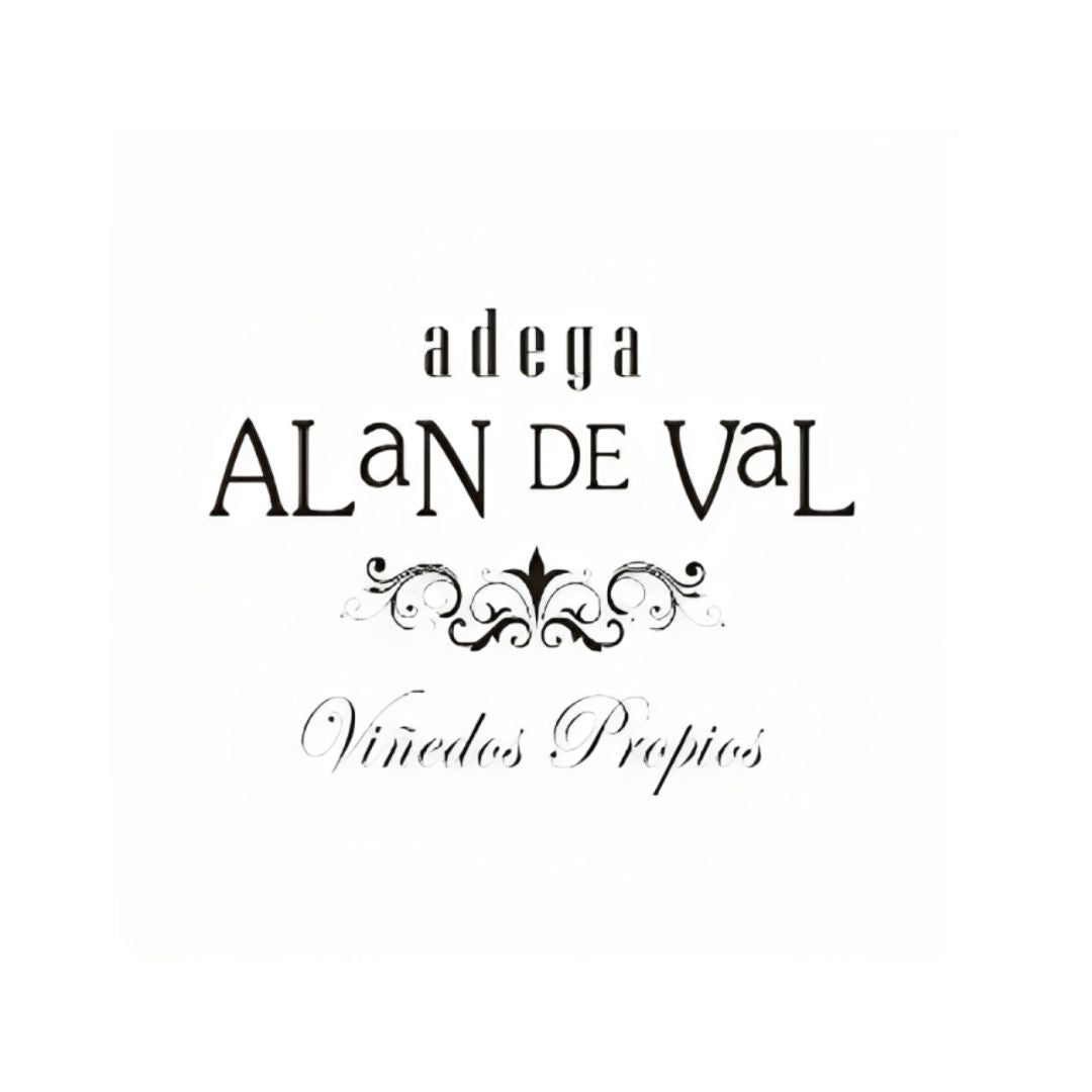 Vino Blanco - Pedrazáis Godello 2021 - Alan De Val_2