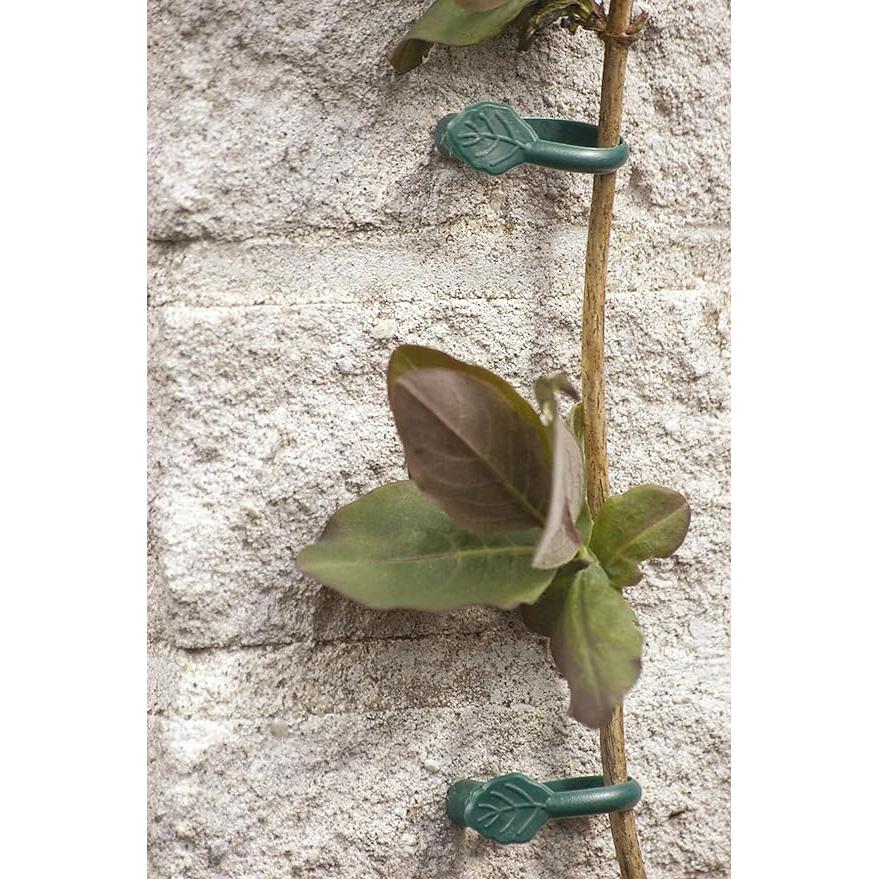 Grampo de escalada Biotop com prego, 8 unidades