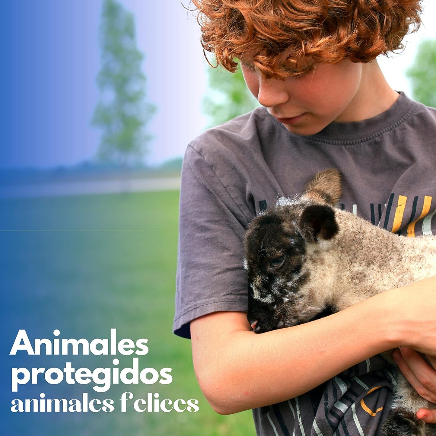 Gallinero Para Pavos Y Otras Grandes Aves - Caseta Para Animales - Refugio Para Cabras Y Ovejas_5