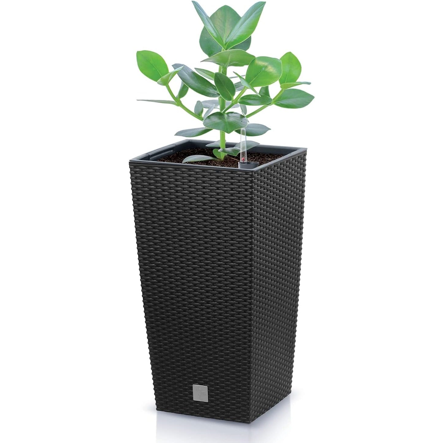 Maceta Rato De 26,6 Litros Con Inserto 26,5 X 26,5 X 50 Cm En Color Antracita