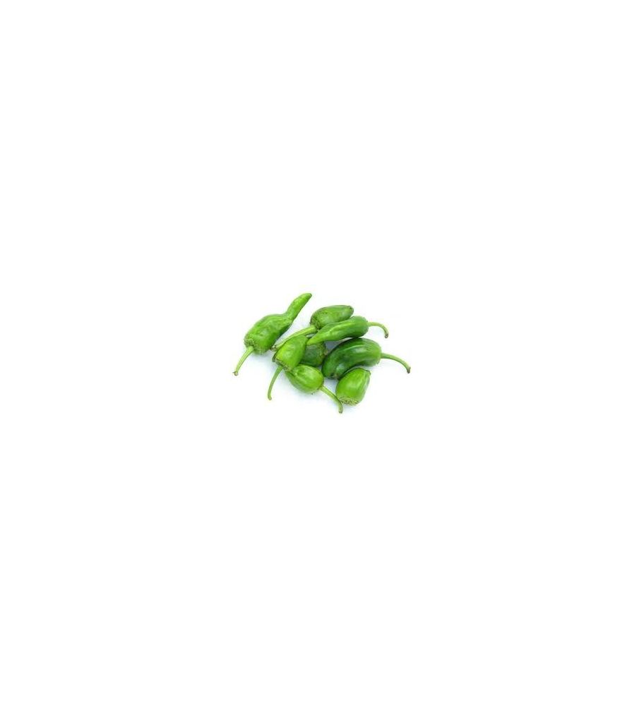 Plantón Pimiento De Padrón Dulce (10 Unidades)_2