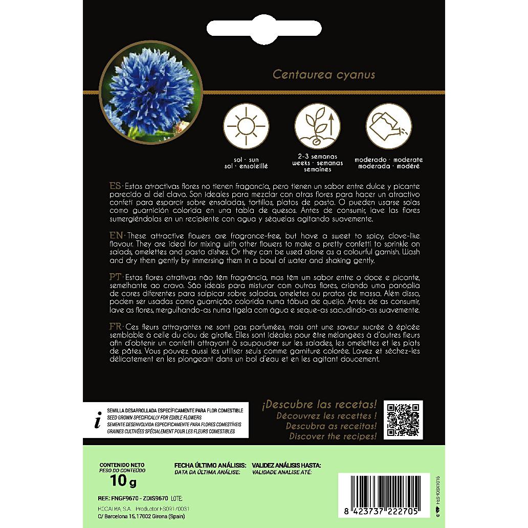 Sementes de flores comestíveis de Centaurea Rocalba