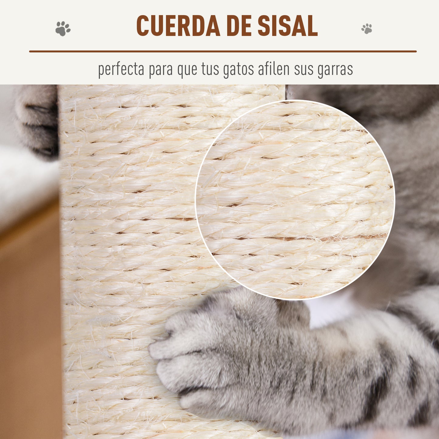Pawhut Rascador Árbol Para Gatos 31x31x58 Cm Con Poste Central Cama De Felpa_5