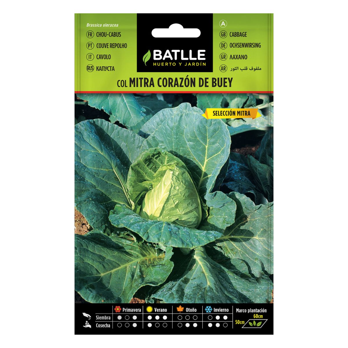 Sementes de couve Batlle Beef Heart