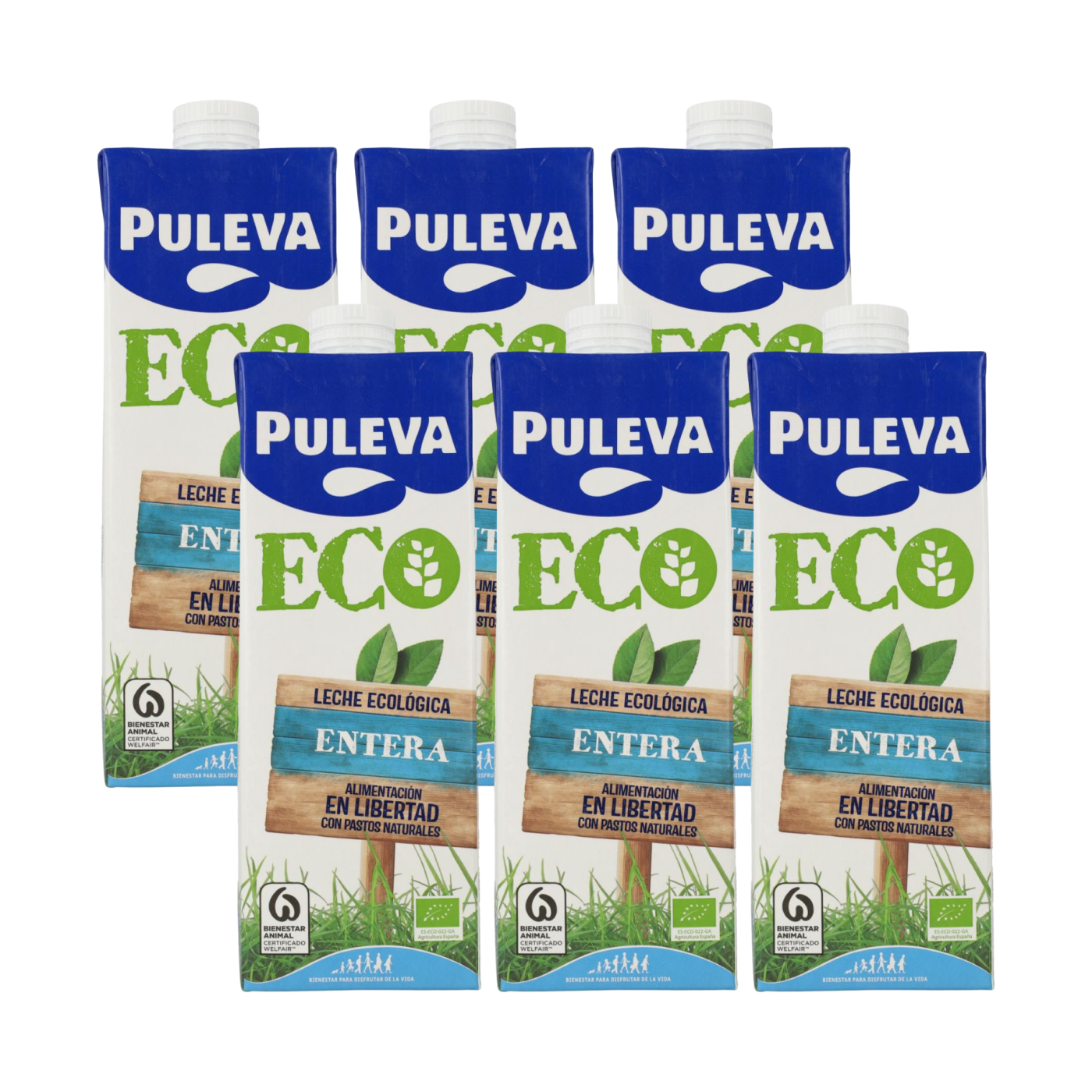 Embalagem de 6 Puleva Leite Integral Biológico, 1 L