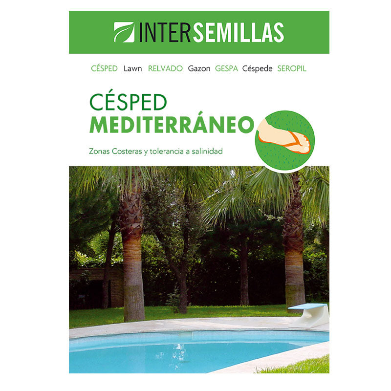 Semillas De Cesped Mediterraneo Caja 1 Kg._0
