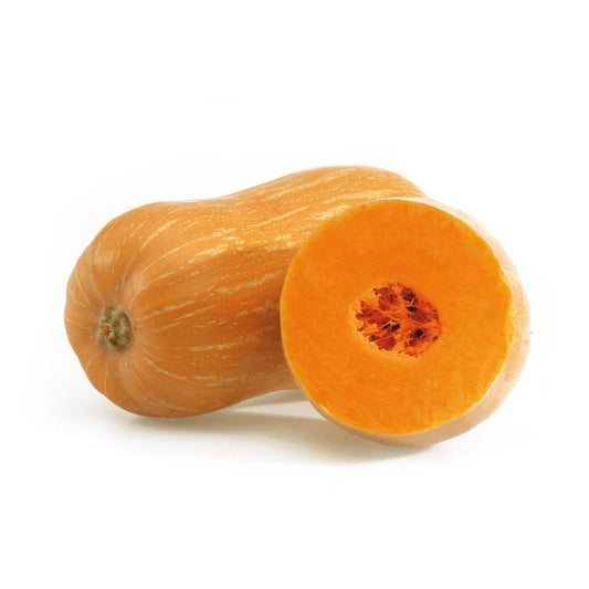 Mudas de abóbora com amendoim, 6 unid. Linha Tradicional