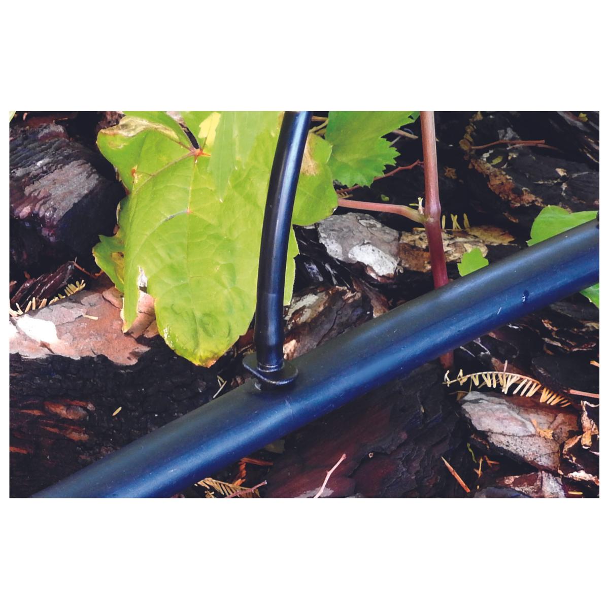 Microtubo link 4 mm Planeta Huerto 10 unidades