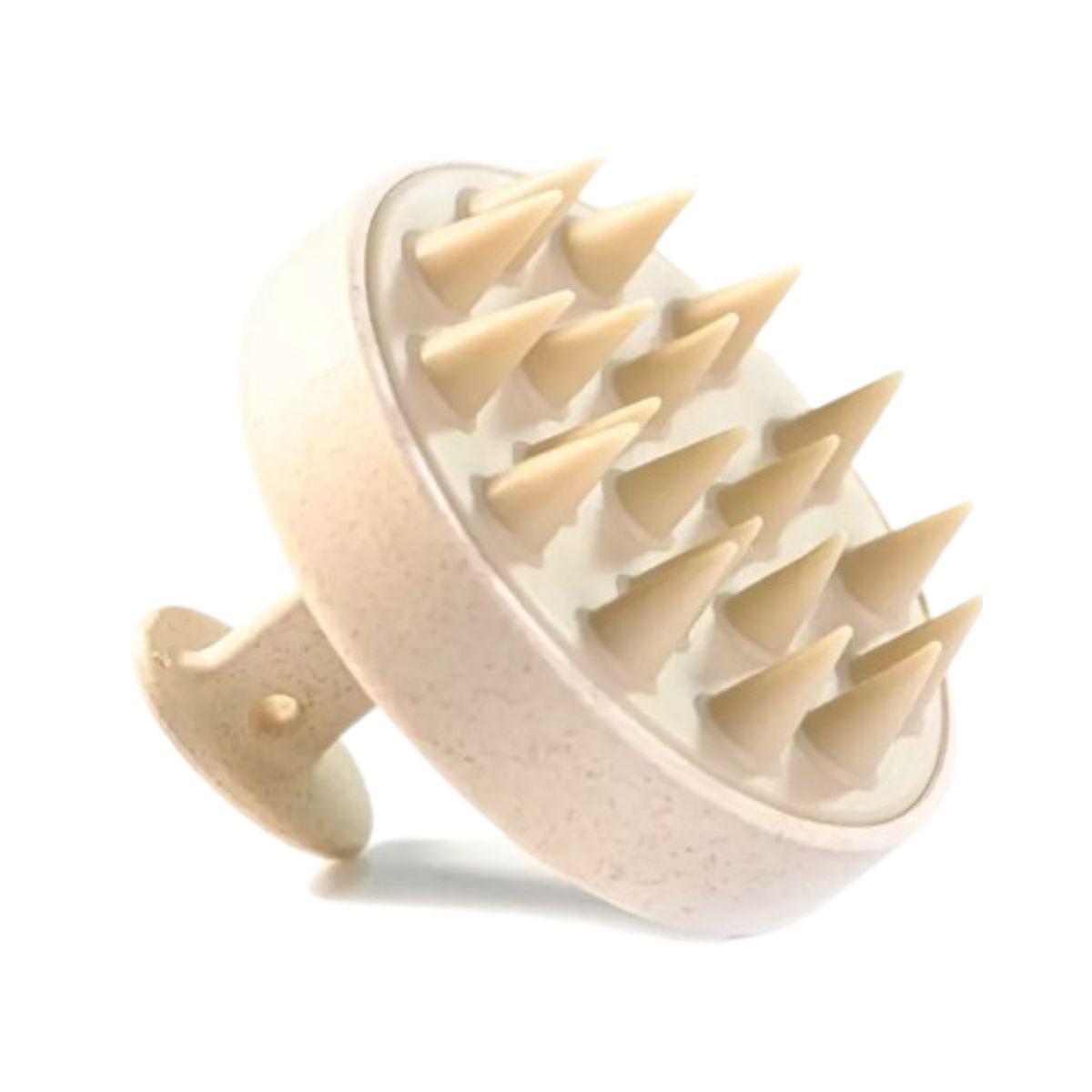 Massajador de couro cabeludo. Camassia