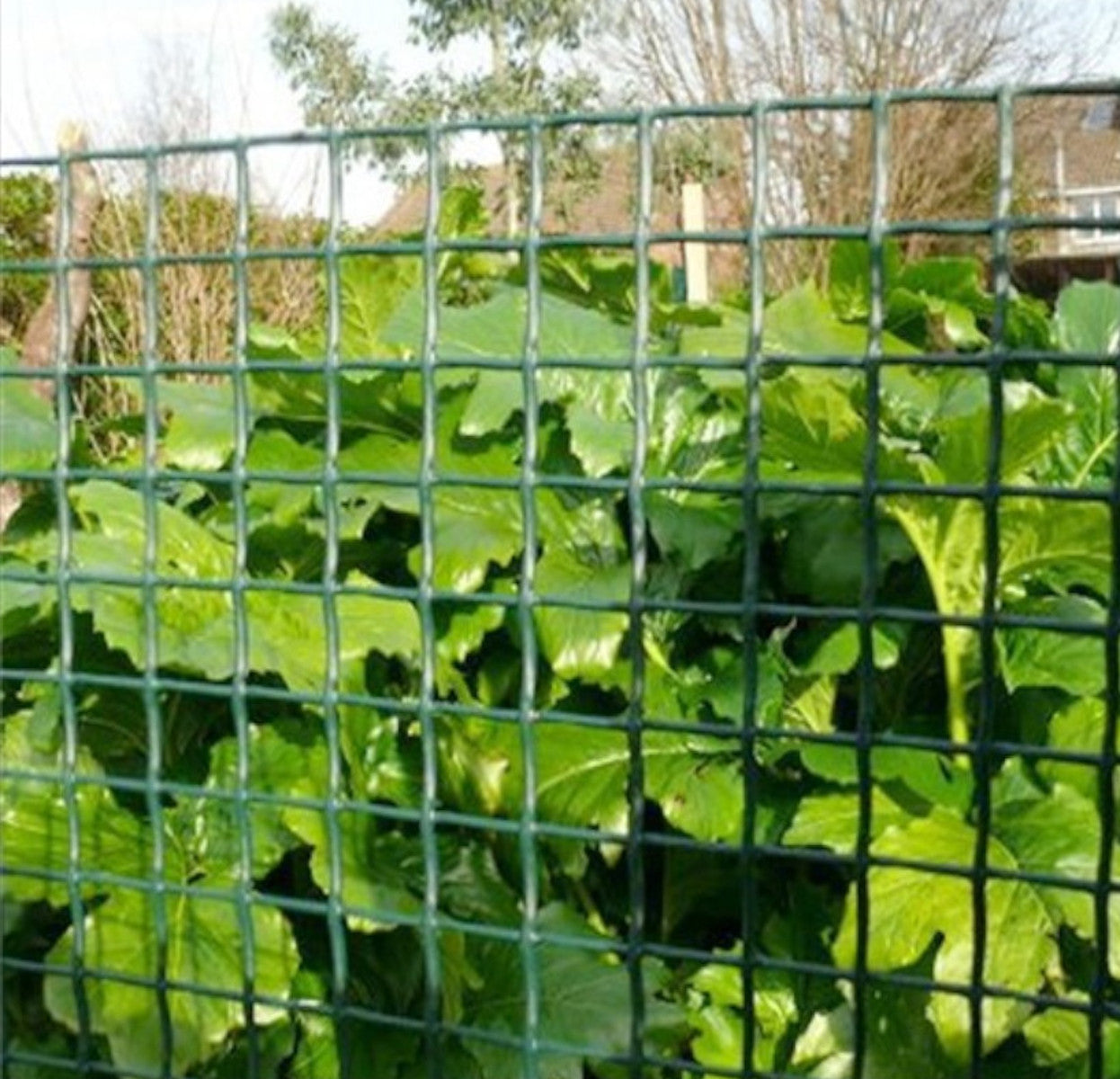 Malla Plastica| 1x30m| Composición 100% Pvc| Valla De Pvc| Malla Para Cerco 20x20mm_2