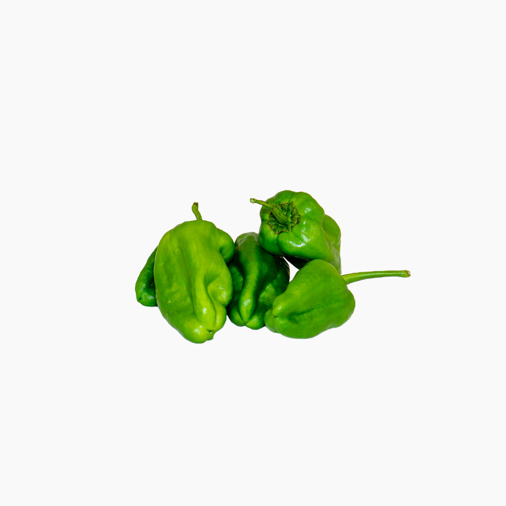 Plantón Pimiento Del Padrón Dulce 2 Unidades - Plantabo_1